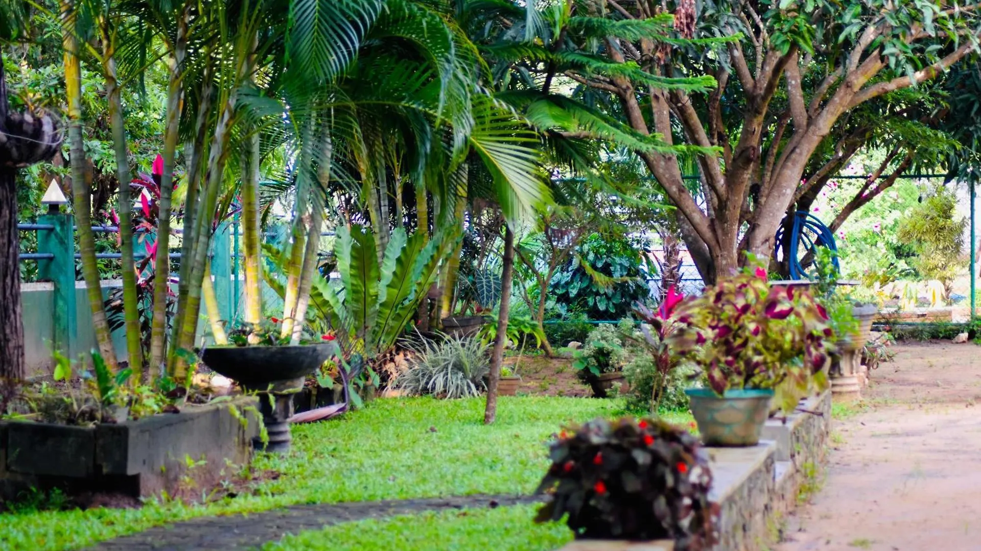 Privatunterkunft Sinhagiri Villa Sigiriya